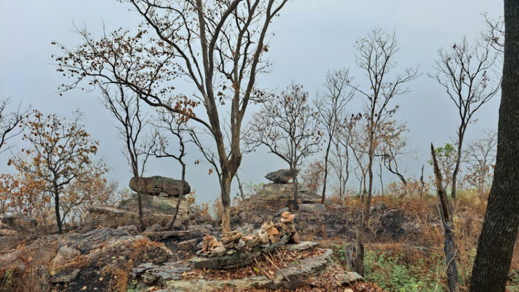 วัดพระบาทภูพานคำ