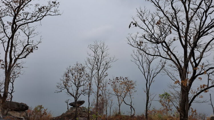 วัดพระบาทภูพานคำ