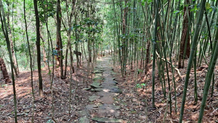 บ่อน้ำศักดิ์สิทธิ์ พุทธอุทยานดอยช้าง